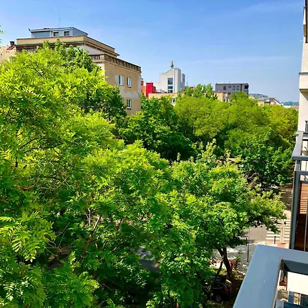 아파트 Old Beer - Stein